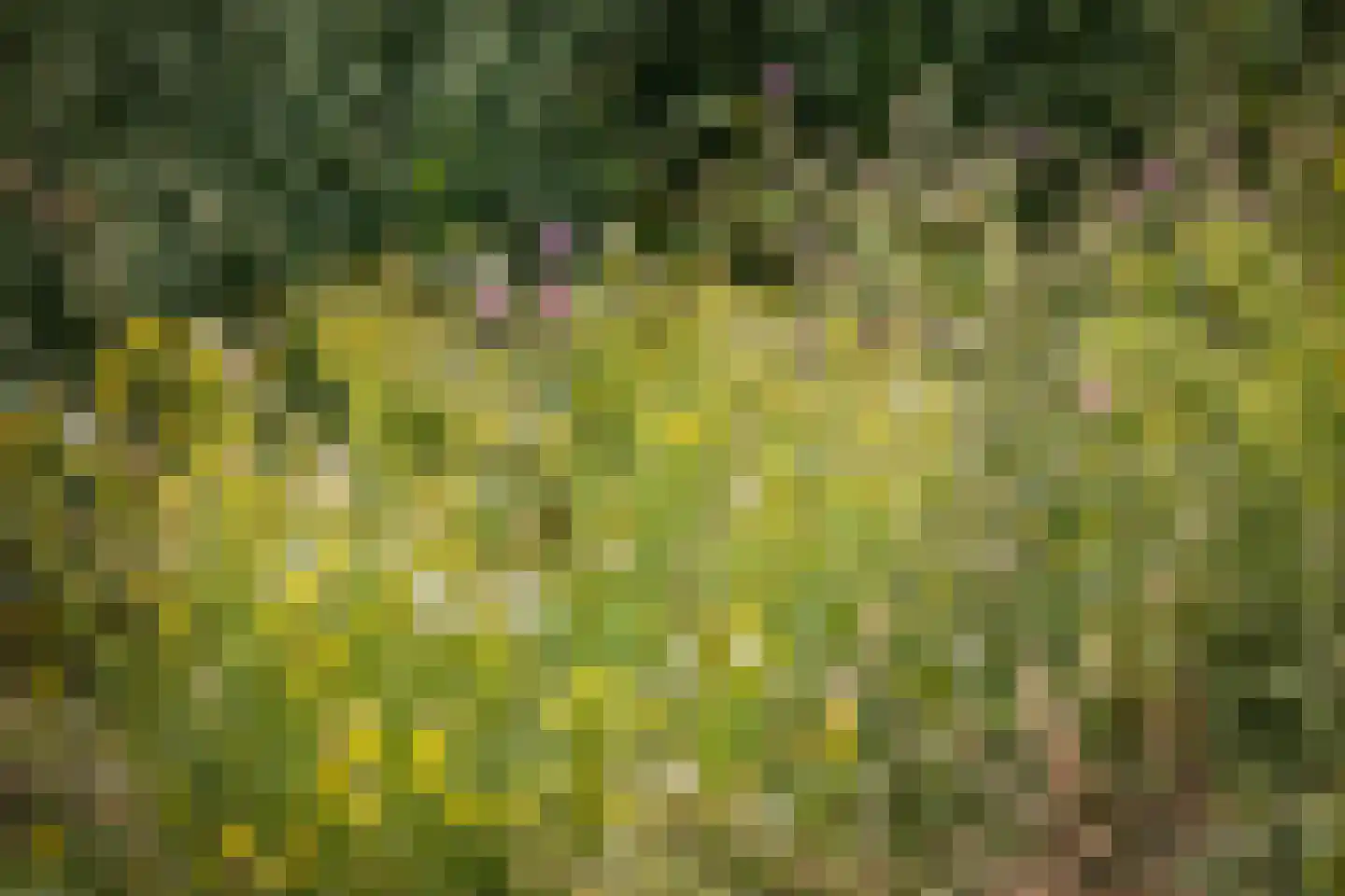 Schrijversweg 2 Deventer thumbnail 56
