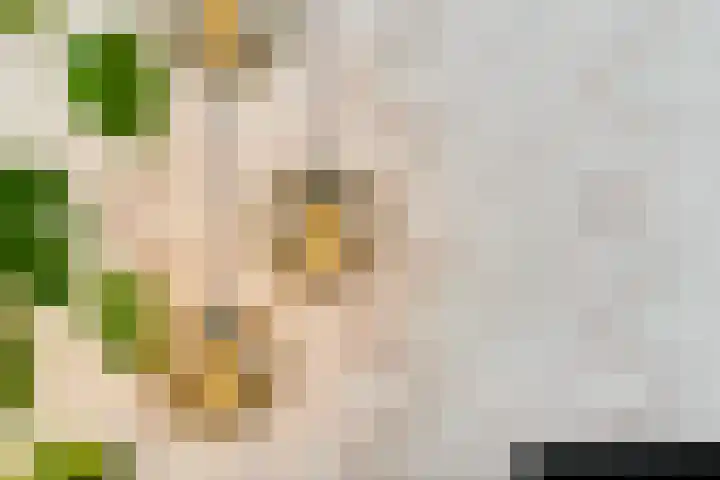 Schrijvertje 1 Deventer thumbnail 11