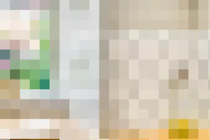 Schrijvertje 1 Deventer thumbnail 13