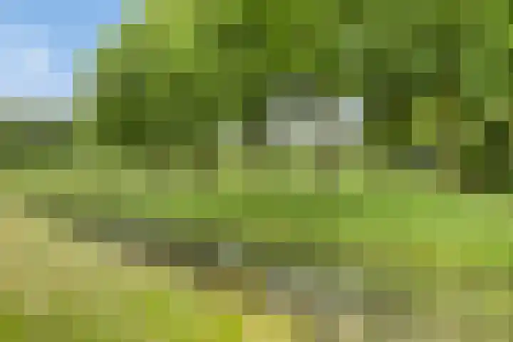 Schrijvertje 1 Deventer thumbnail 29