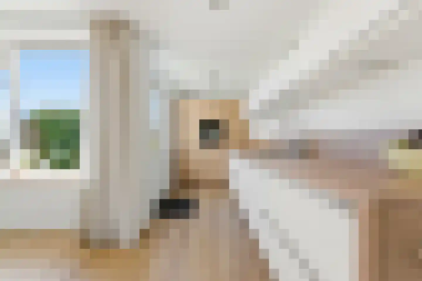 Schrijvertje 17 Alblasserdam thumbnail 12