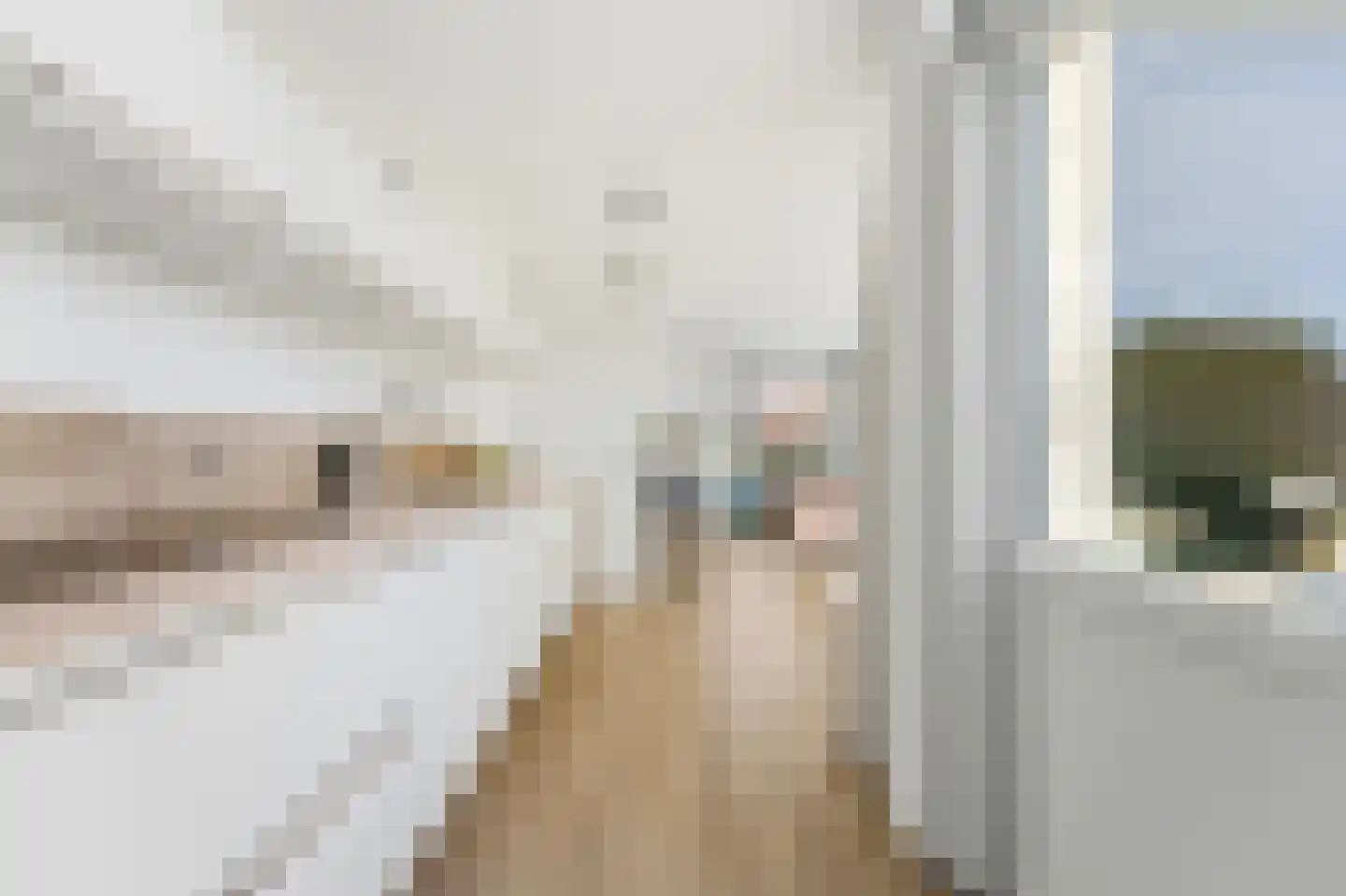 Schrijvertje 17 Alblasserdam thumbnail 16