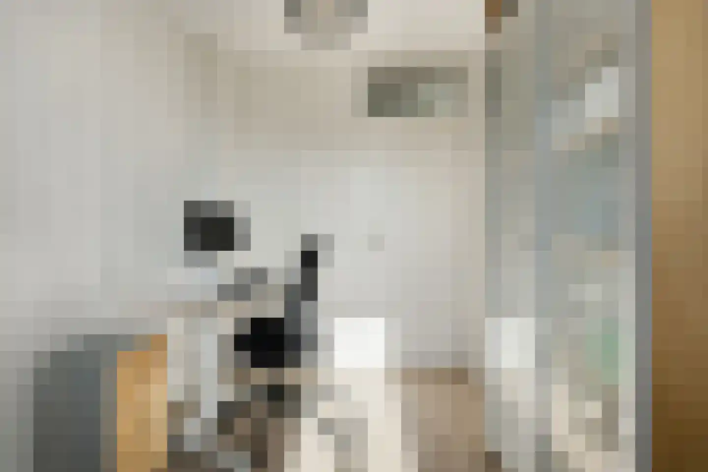 Schrijvertje 17 Alblasserdam thumbnail 27