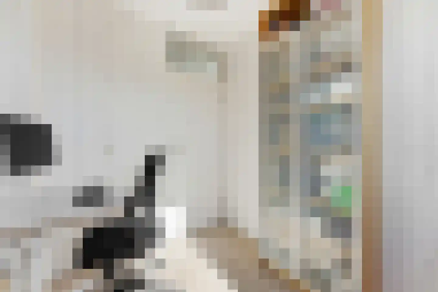 Schrijvertje 17 Alblasserdam thumbnail 28