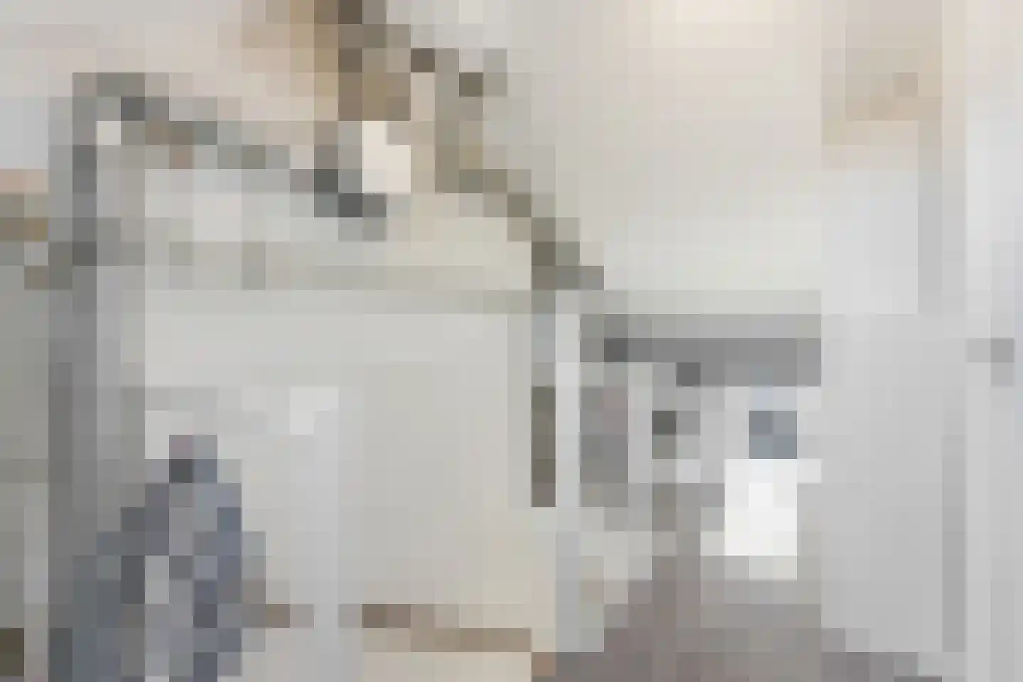 Schrijvertje 17 Alblasserdam thumbnail 34