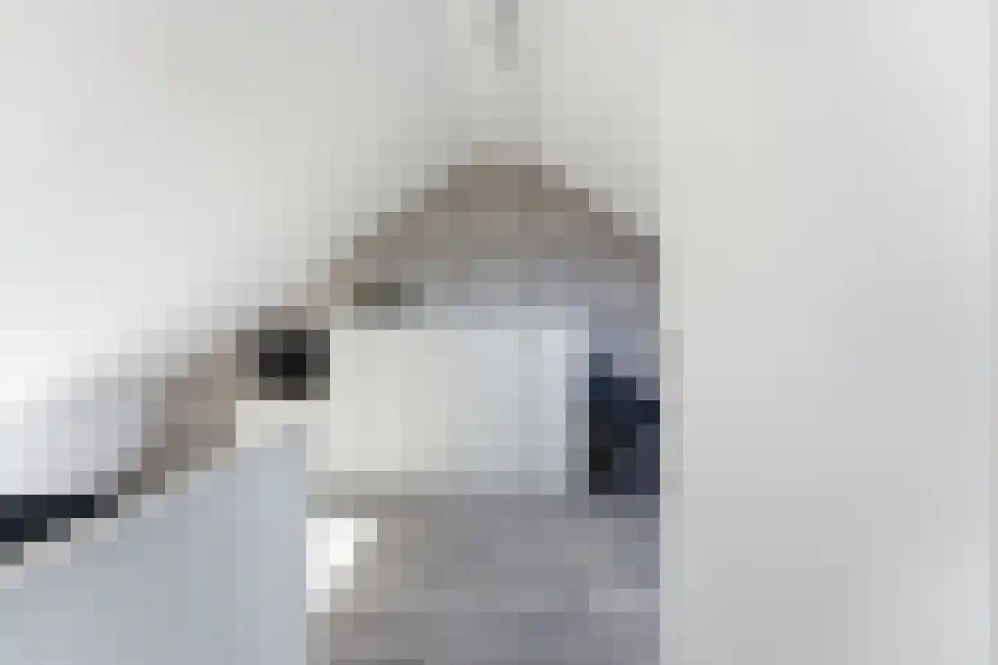 Schrijvertje 17 Alblasserdam thumbnail 35
