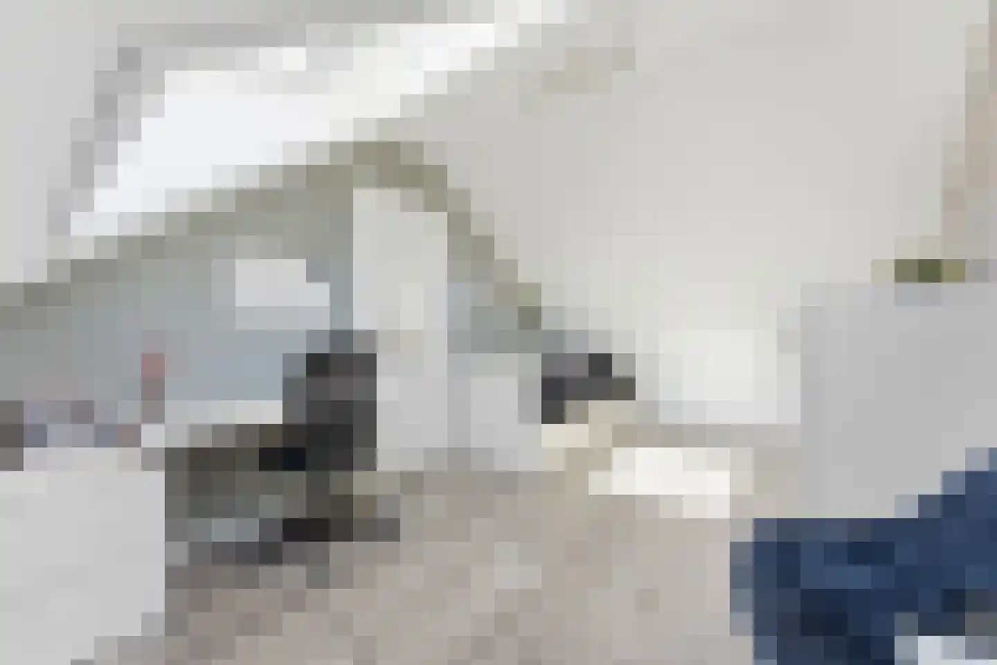 Schrijvertje 17 Alblasserdam thumbnail 39