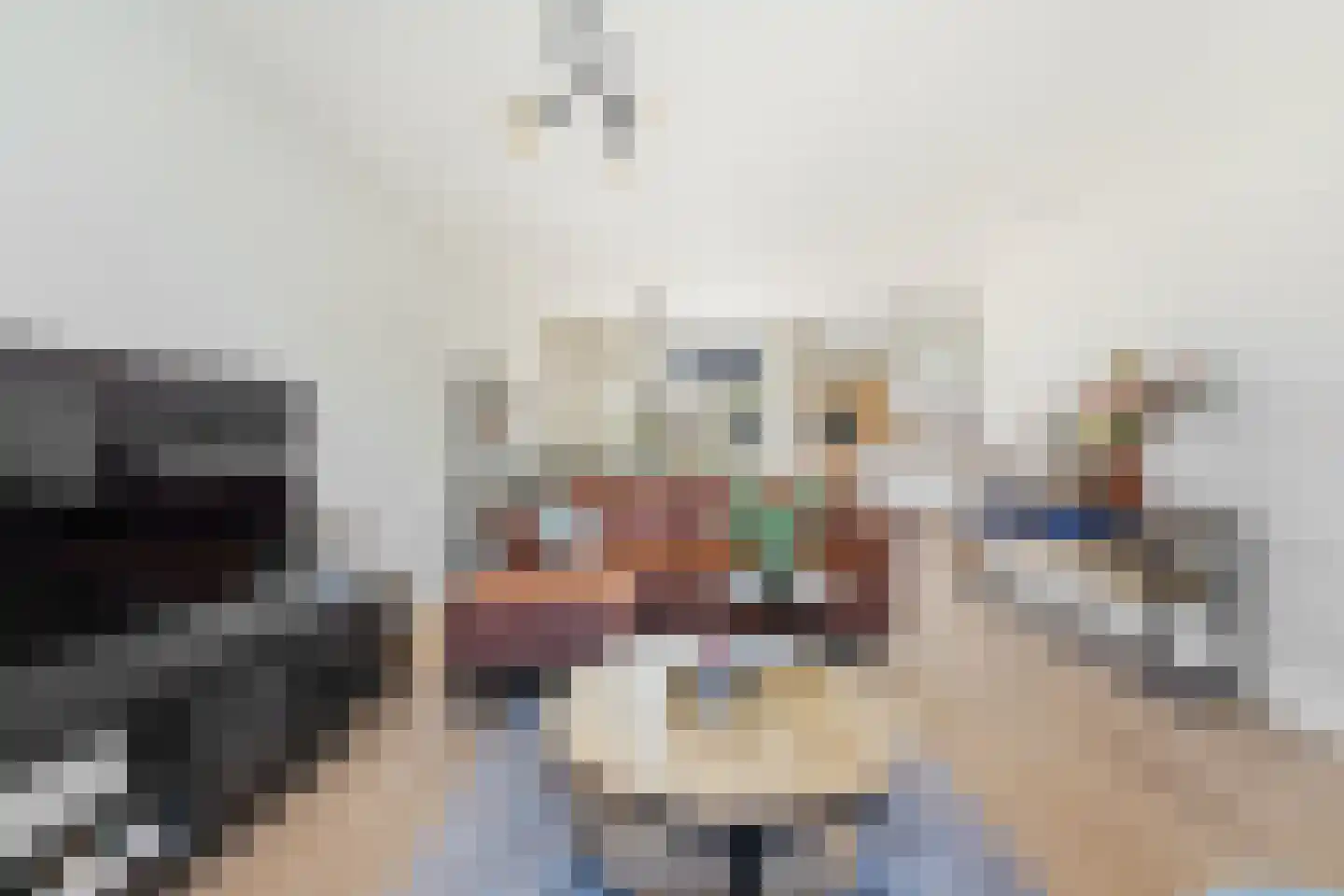Schrijvertje 17 Alblasserdam thumbnail 6