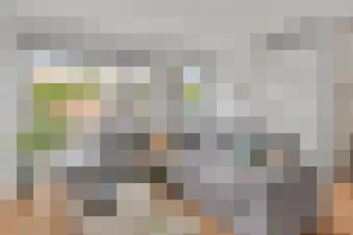Schrijvertje 20 Krommenie foto 2