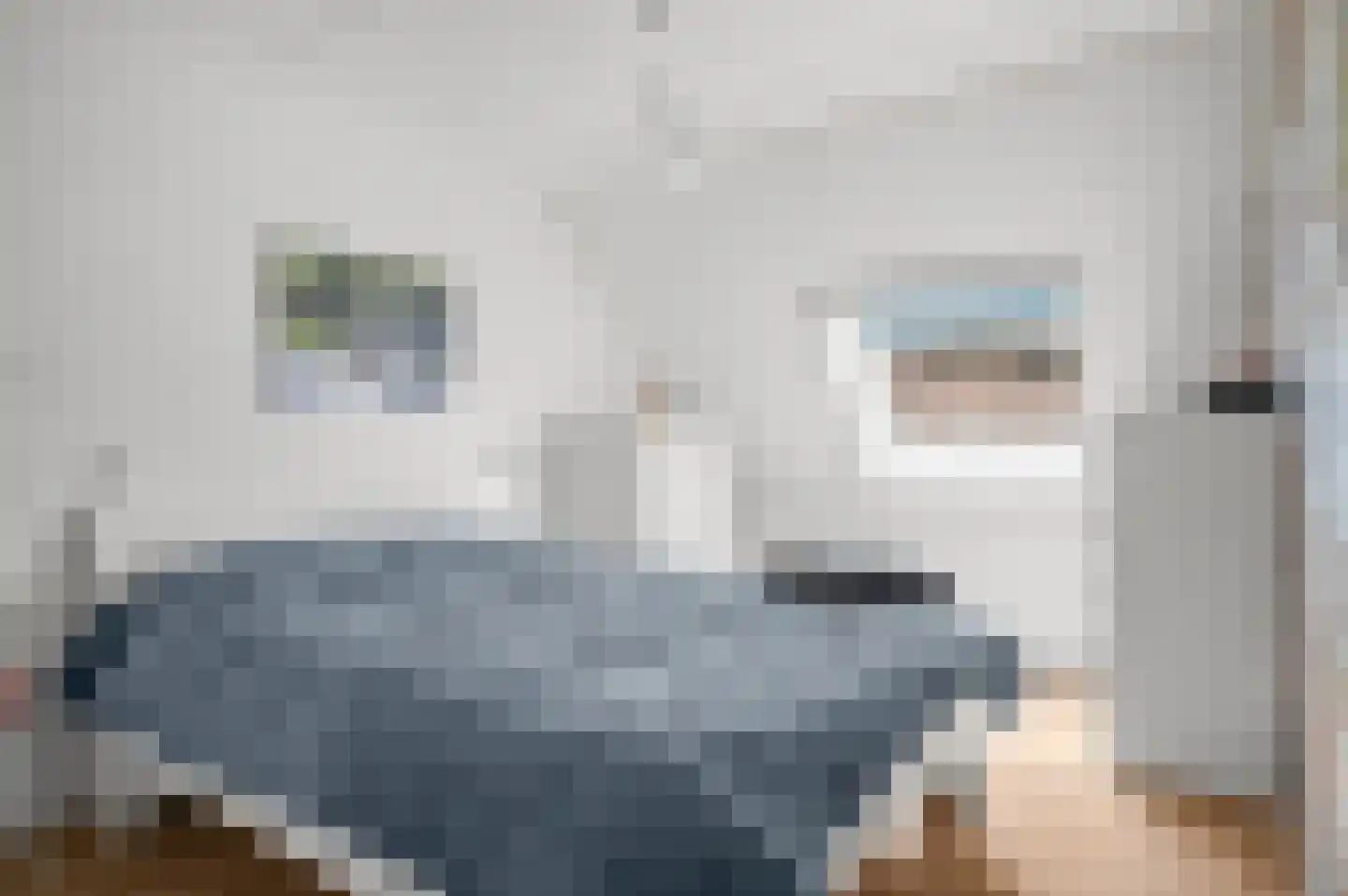 Schrijvertje 29 Deventer thumbnail 10