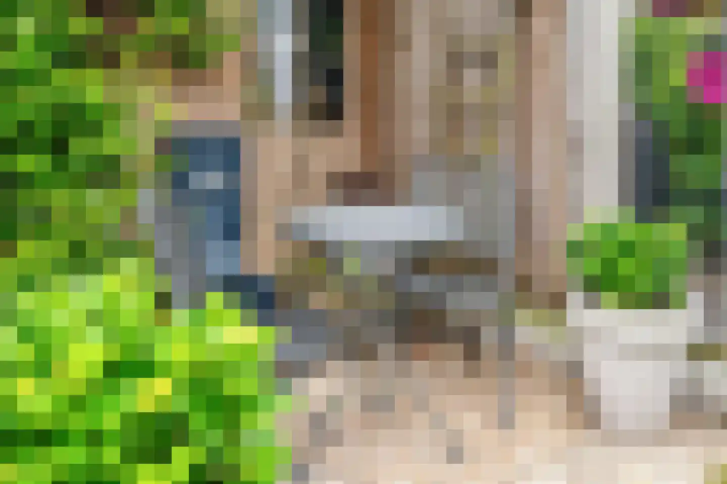 Schrijvertje 29 Deventer thumbnail 23