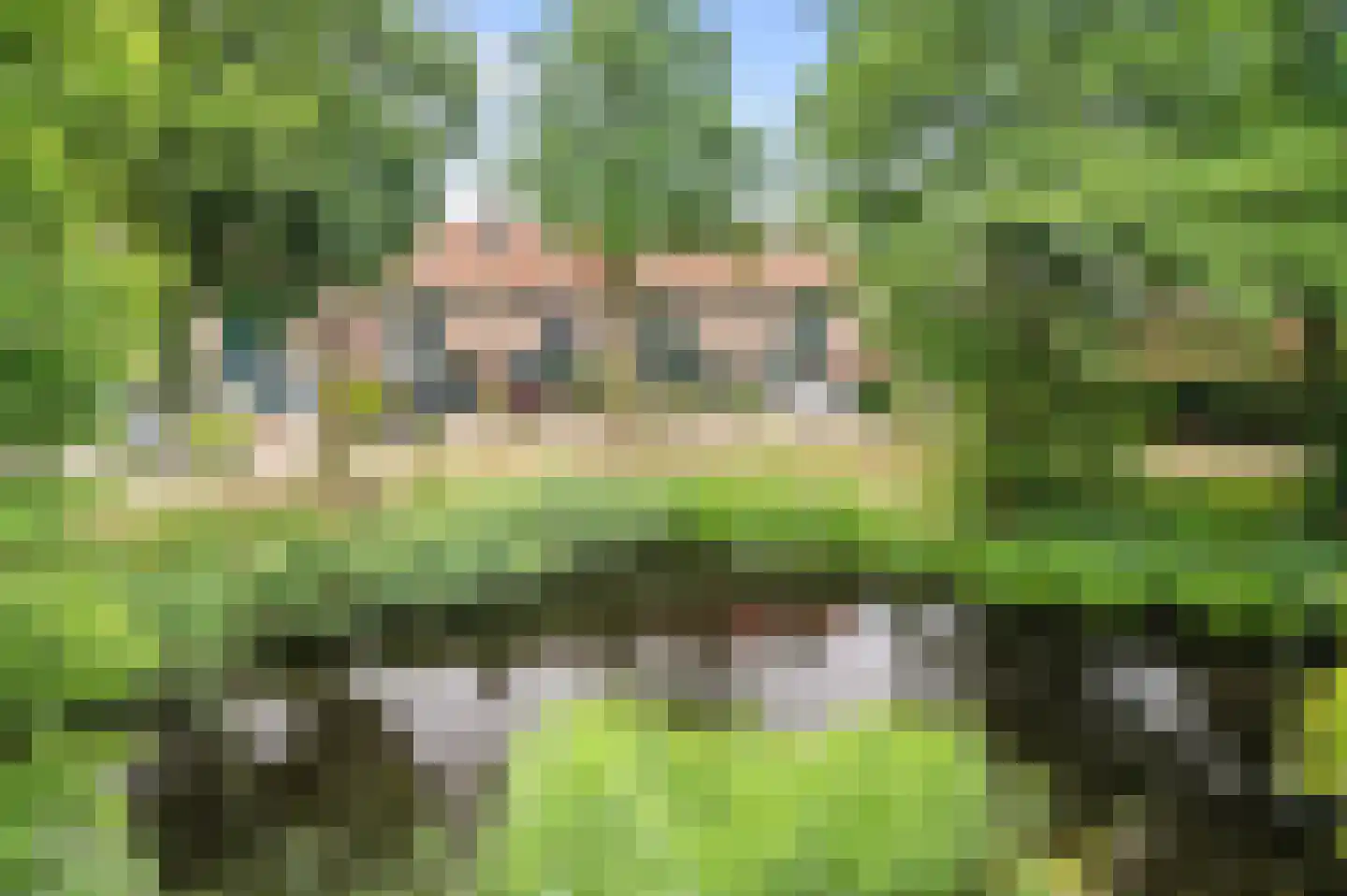 Schrijvertje 29 Deventer thumbnail 29