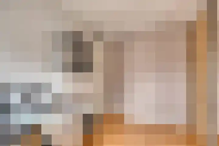 Schrijvertje 3 Deventer thumbnail 22