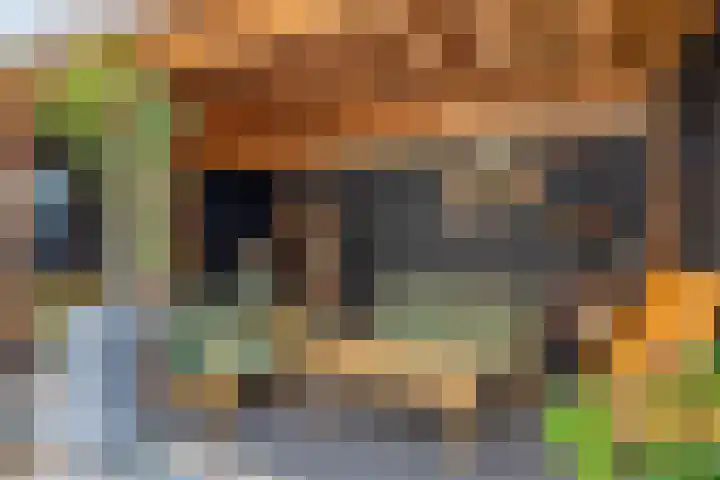 Schrijvertje 3 Deventer thumbnail 32