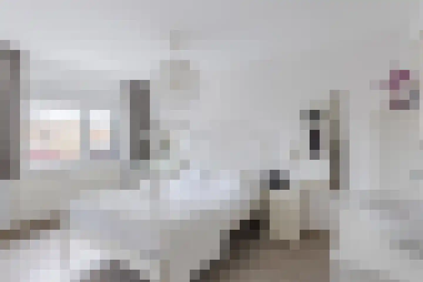 Schrijvertje 30 Krommenie thumbnail 17