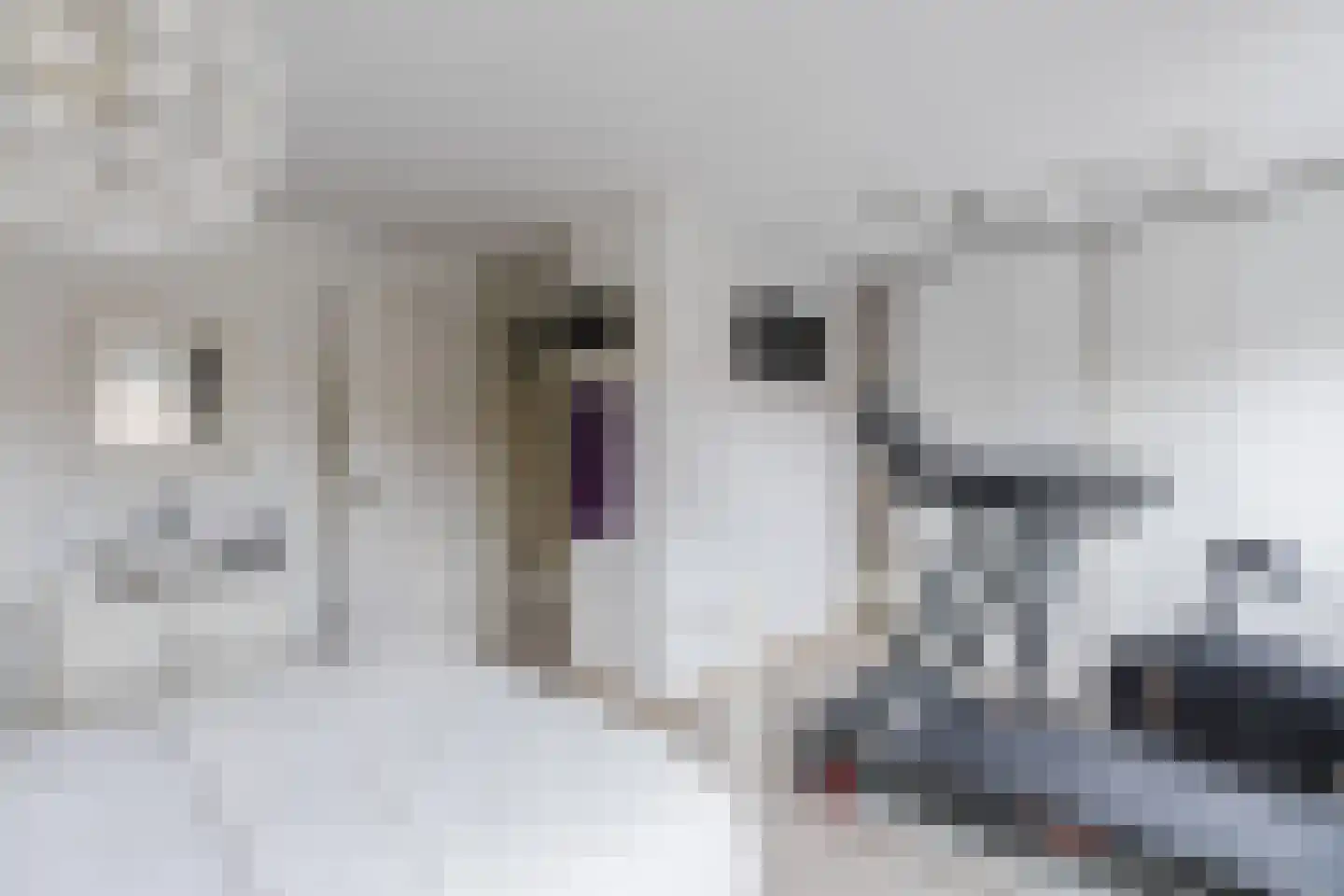 Schrijvertje 30 Krommenie thumbnail 19