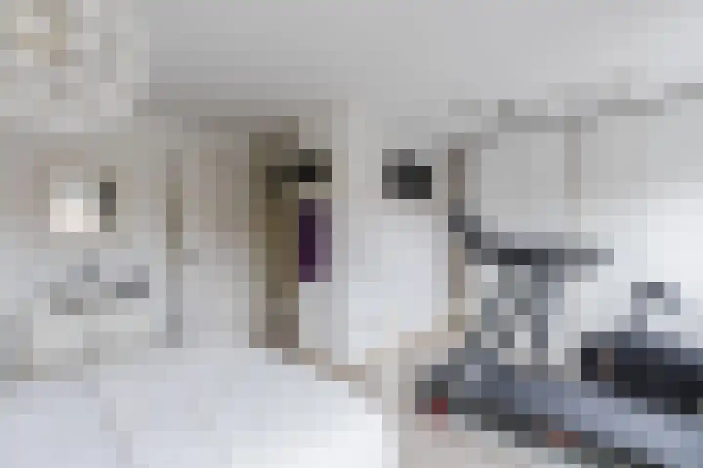 Schrijvertje 30 Krommenie thumbnail 19