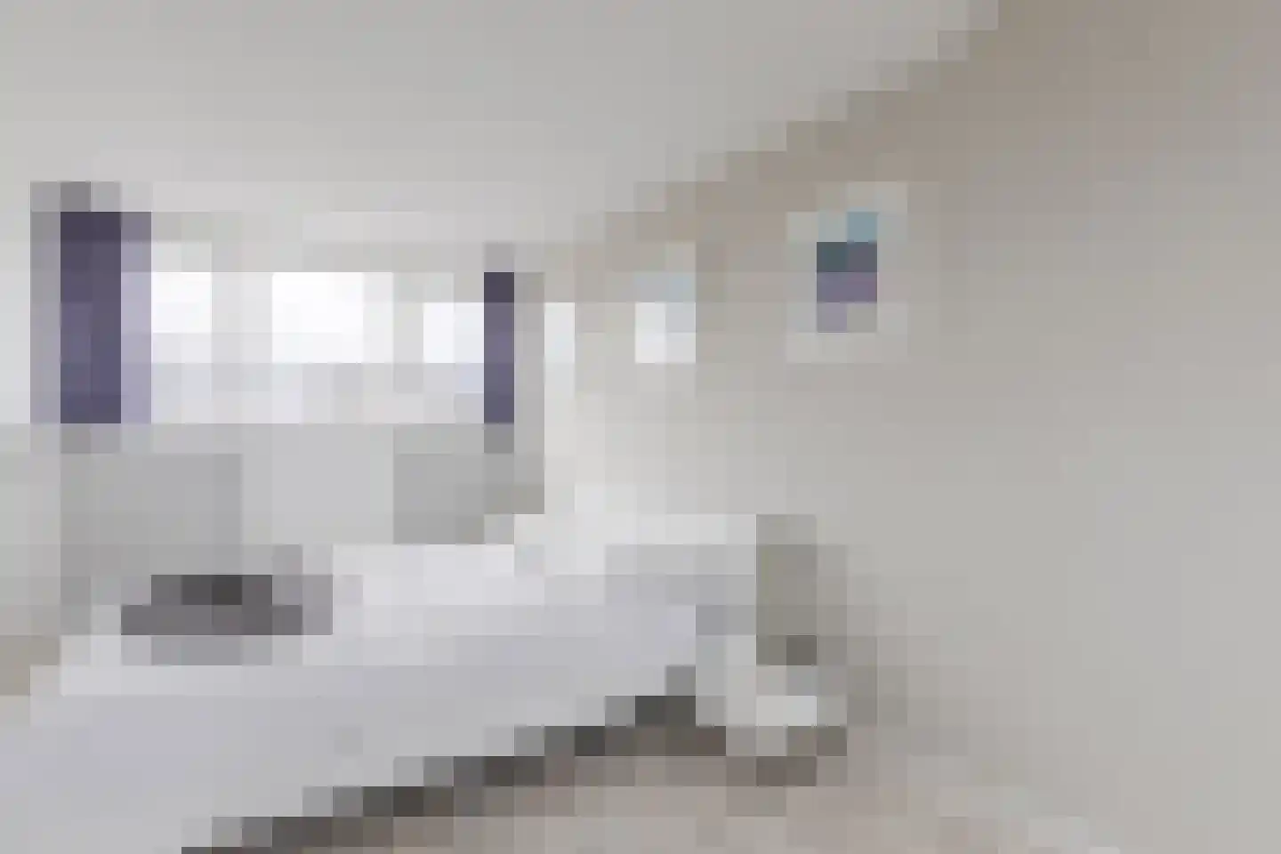 Schrijvertje 30 Krommenie thumbnail 26