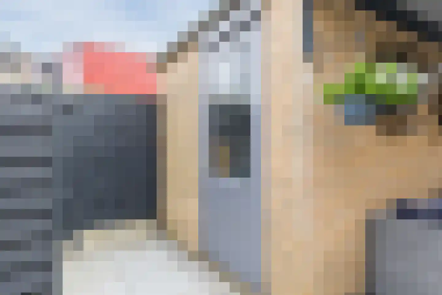 Schrijvertje 30 Krommenie thumbnail 35