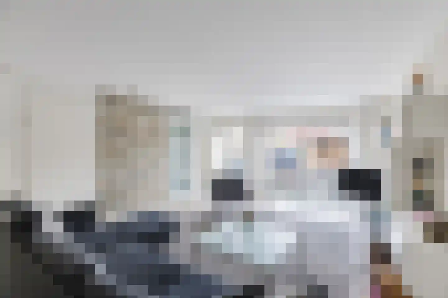 Schrijvertje 30 Krommenie thumbnail 7