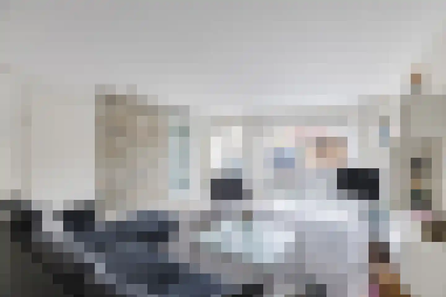 Schrijvertje 30 Krommenie thumbnail 7