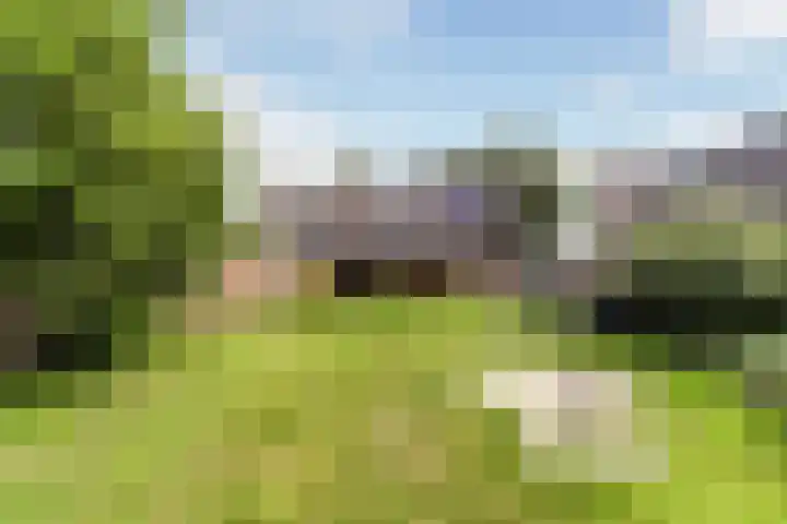 Schriksestraat 41 Afferden thumbnail 5