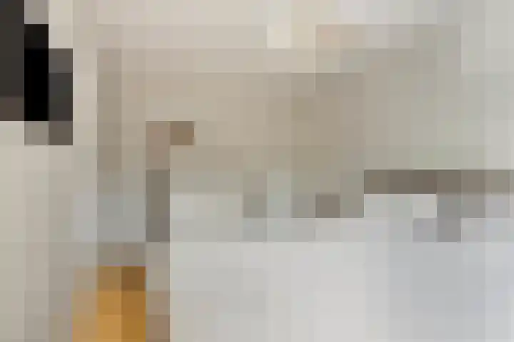 Schrikslaan 23 Soest thumbnail 19