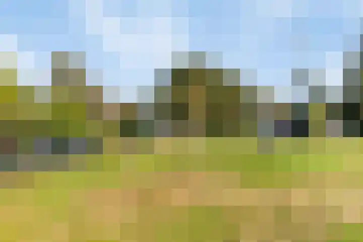 Schrikslaan 23 Soest thumbnail 42