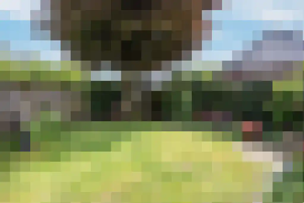 Schrikslaan 29 Soest thumbnail 45