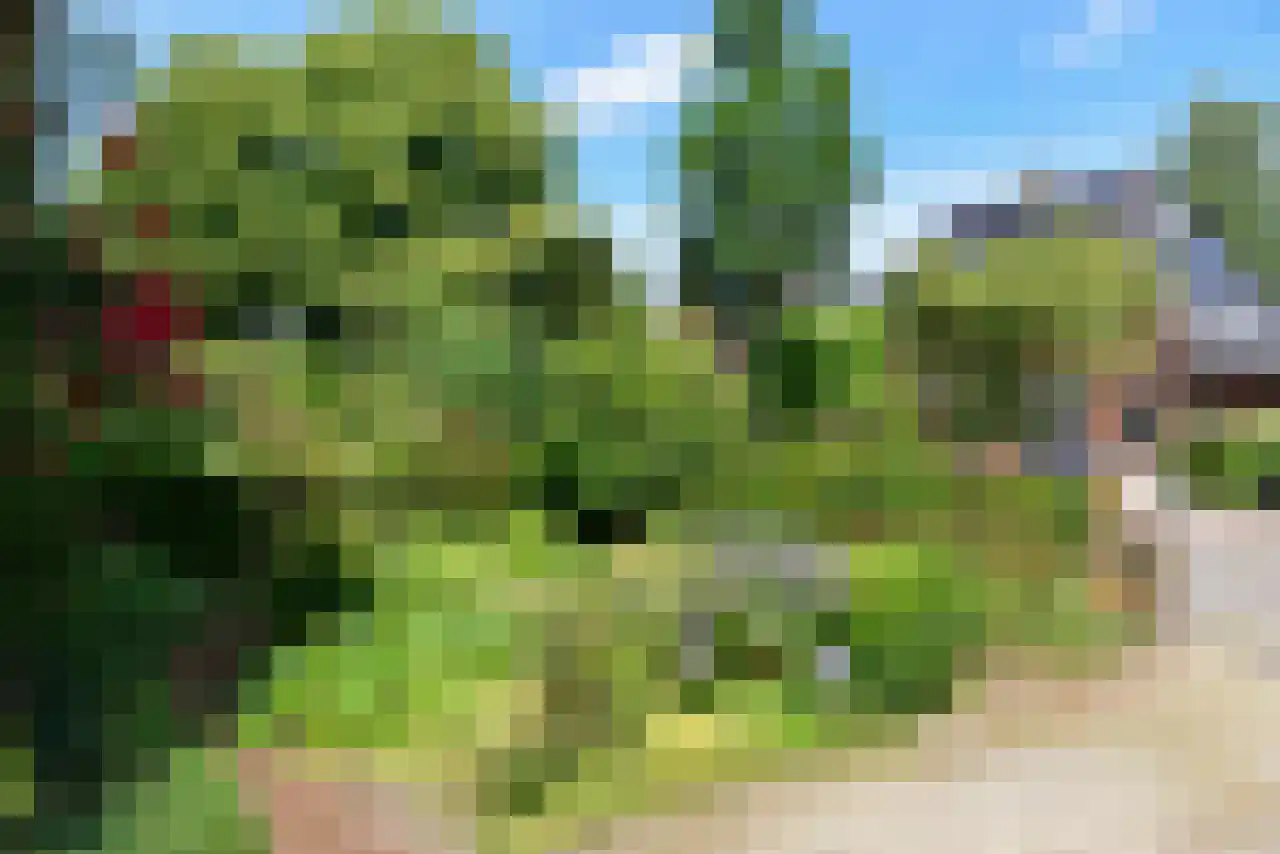 Schrikslaan 37 Soest thumbnail 32