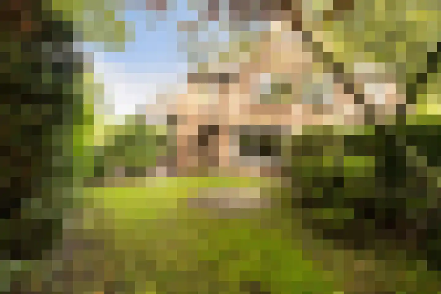 Schrikslaan 50 Soest thumbnail 27