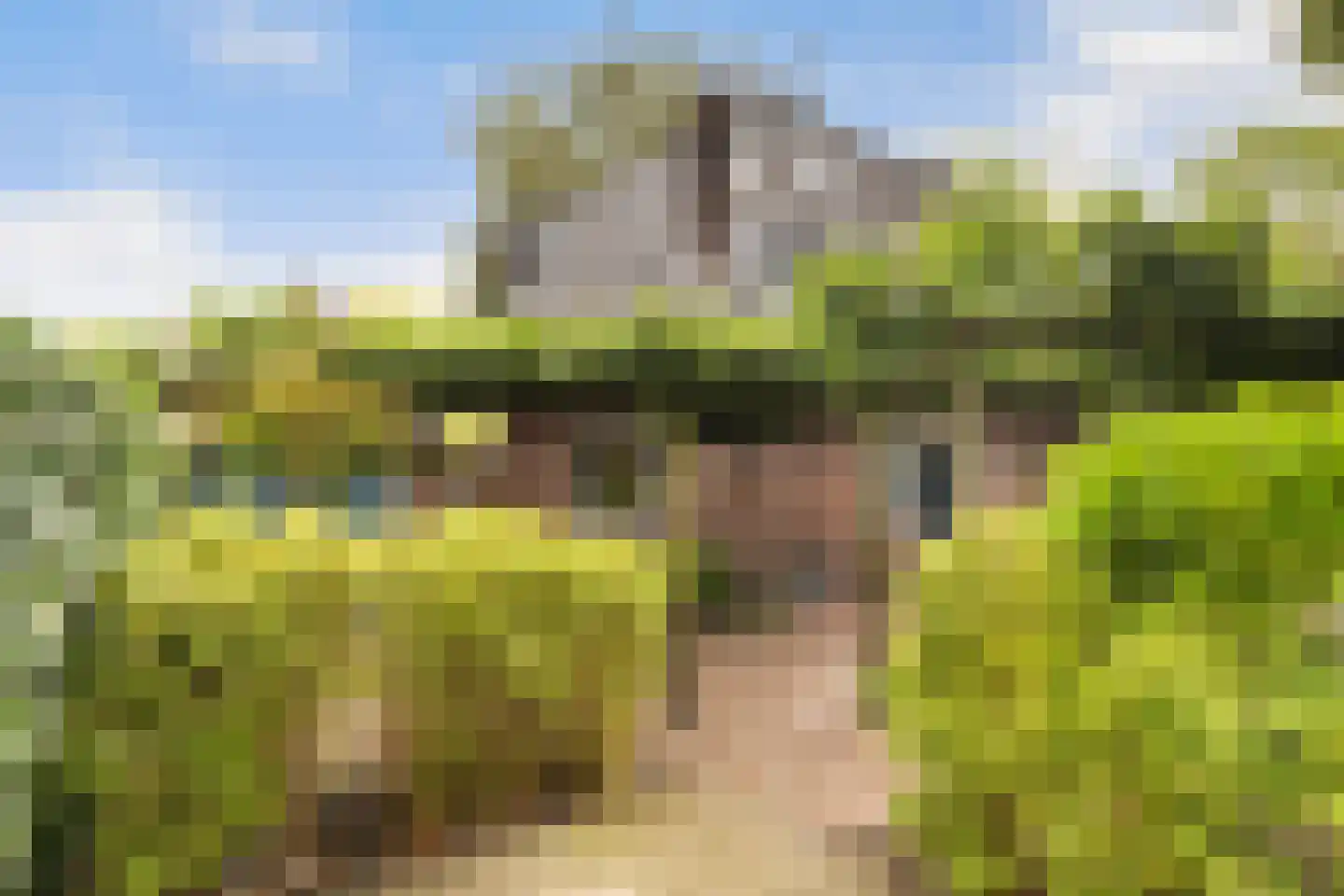 Schrikslaan 50 Soest thumbnail 28