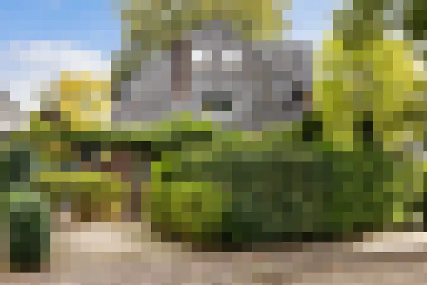 Schrikslaan 50 Soest thumbnail 29
