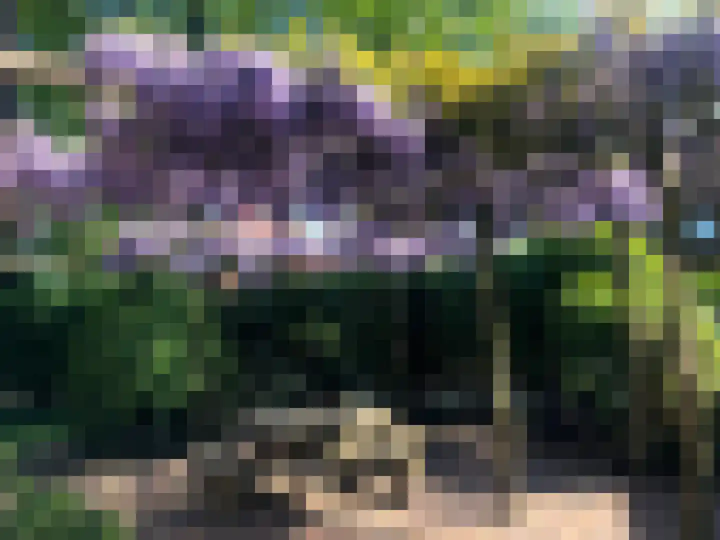 Schrikslaan 50 Soest thumbnail 30