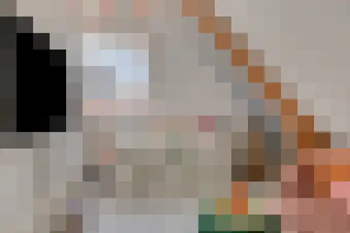 Schrikslaan 52 Soest thumbnail 34