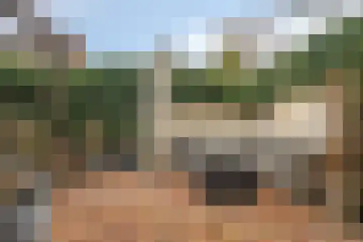 Schrikslaan 52 Soest thumbnail 43