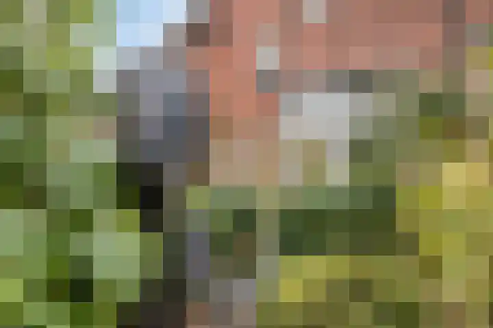 Schrikslaan 52 Soest thumbnail 45