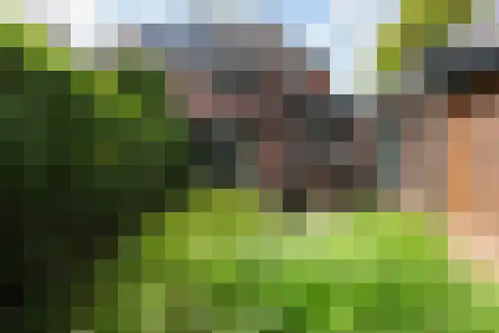 Schrikslaan 62 Soest thumbnail 24