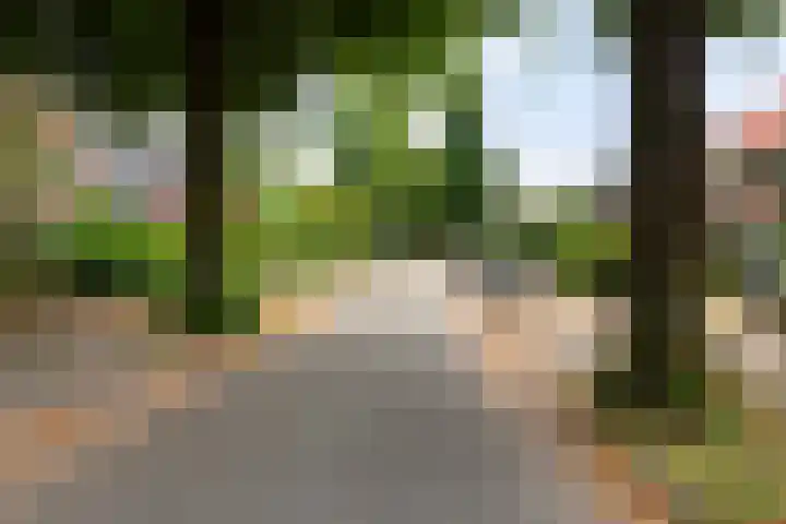 Schrikslaan 62 Soest thumbnail 29