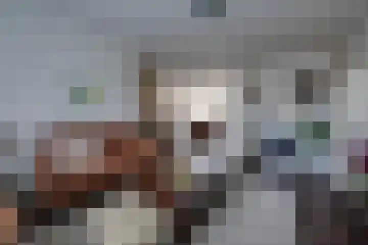 Schrikspad 13 Udenhout thumbnail 11