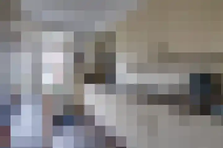 Schrikspad 13 Udenhout thumbnail 15