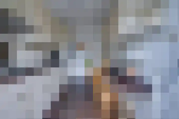 Schrikspad 13 Udenhout thumbnail 17