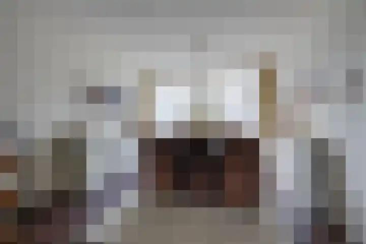 Schrikspad 13 Udenhout thumbnail 18