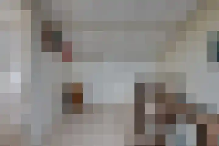 Schrikspad 13 Udenhout thumbnail 36