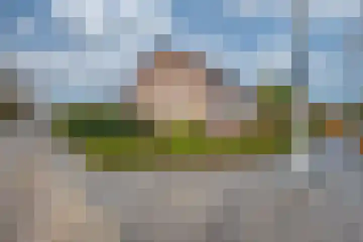 Schrikspad 13 Udenhout thumbnail 4
