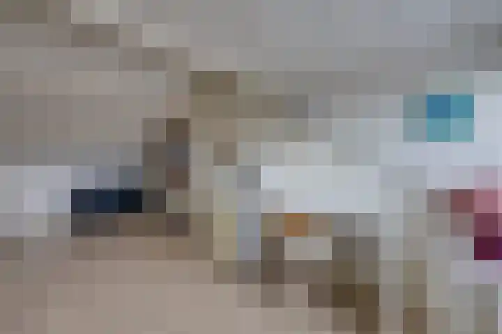 Schrikspad 13 Udenhout thumbnail 41