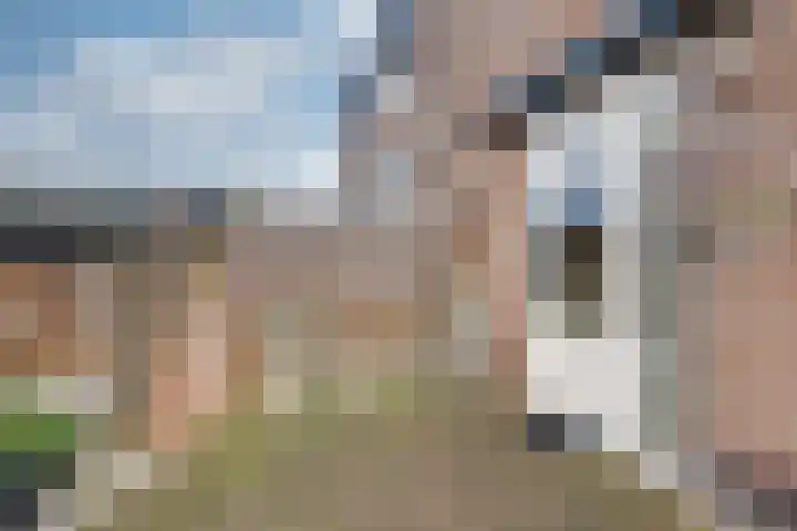Schrikspad 13 Udenhout thumbnail 42