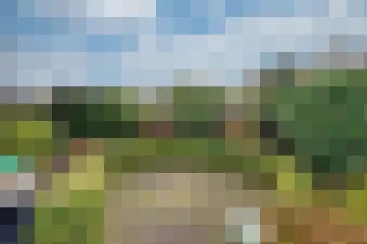 Schrikspad 13 Udenhout thumbnail 44