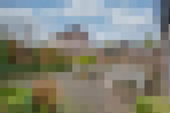 Schrikspad 13 Udenhout thumbnail 45