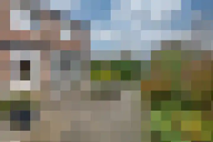 Schrikspad 13 Udenhout thumbnail 47